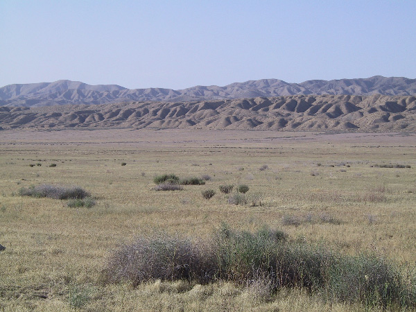 view north across the Carrizo